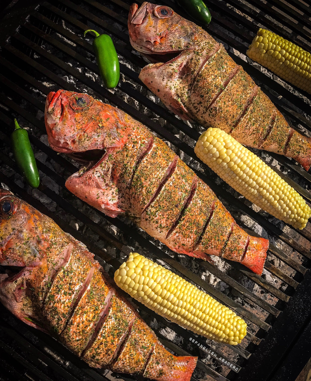 Surf & Turf - Mar y Tierra